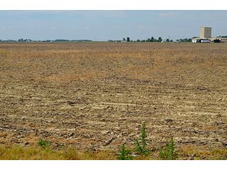Property photo 48 - FARM & LAND AUCTION - 125+/- ACRES OFFERED IN 5 TRACTS IN EAST ALLEN COUNTY, INDIANA